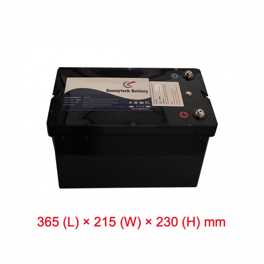 36V 38.4V 50AH Lithium Iron Phosphate LiFePO4 Battery with Active Balancing BMS + Bluetooth