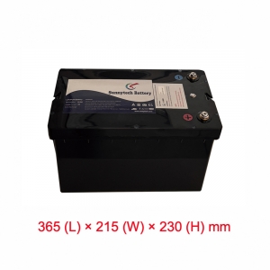 48V 51.2V 50AH Lithium Iron Phosphate LiFePO4 Battery with Active Balancing BMS + Bluetooth